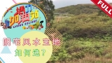 [8TV 八度空間]活力加油站:許鴻方大師 - 如何選擇陰宅風水寶地 Living Delight: Master Kenny Hoo - Tips on  selecting Yin House Feng Shui lands